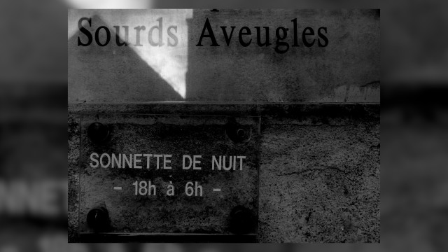 "Motus" : l'expo de Jim Sumkay à l'Espace Wallonie Bruxelles