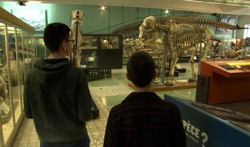 "Viens t'a(musées)!": Marmaille&Co lance ses animations