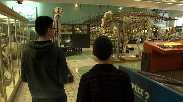 "Viens t'a(musées)!": Marmaille&Co lance ses animations