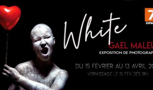 "White" : Gaël Maleux expose à l'Espace 7