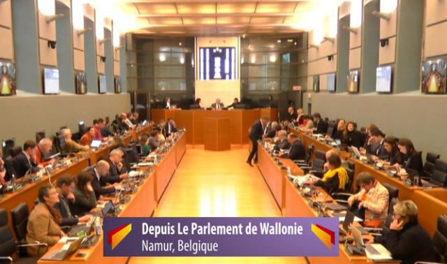 Questions parlementaires de la Région wallonne