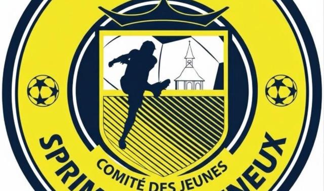 RFCB Sprimont Banneux : apprendre à se méfier des messageries et réseaux sociaux !