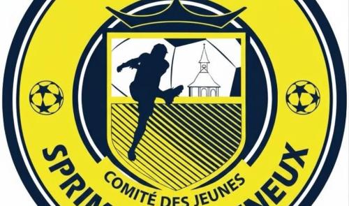 RFCB Sprimont Banneux : apprendre à se méfier des messageries et réseaux sociaux !