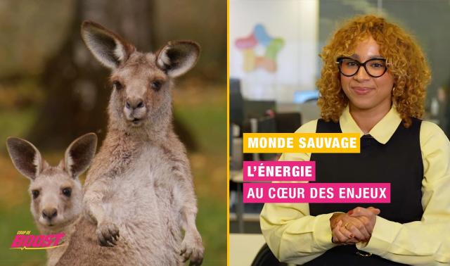 Monde Sauvage d’Aywaille et pouvoir d’achat : deux défis, une même énergie !