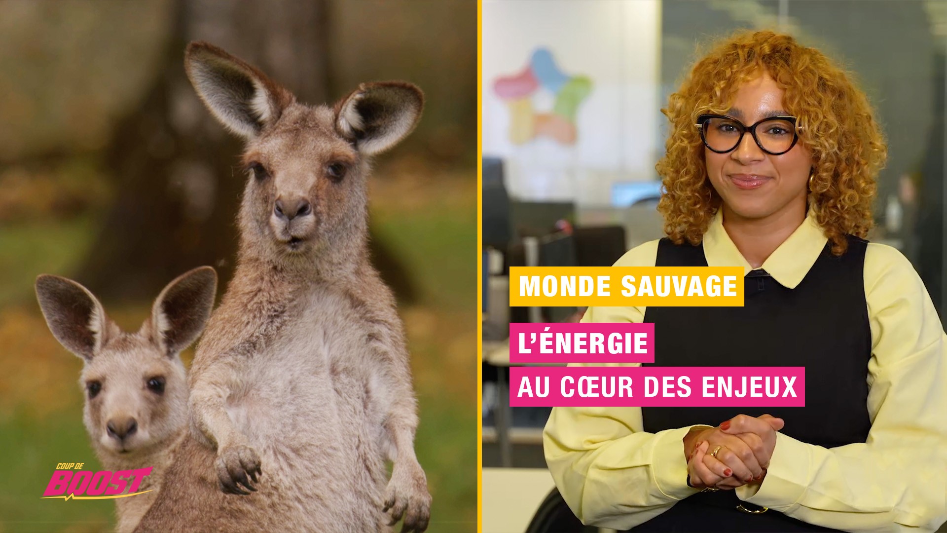 Coup de boost — Monde Sauvage d’Aywaille et pouvoir d’achat : deux défis, une même énergie !