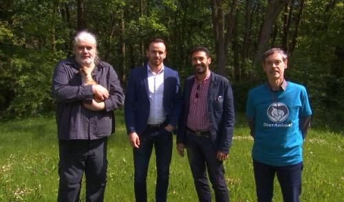 DierAnimal: nouveau venu sur la scène politique