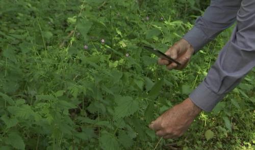 BioBlitz à Waremme : 24h00 pour la biodiversité