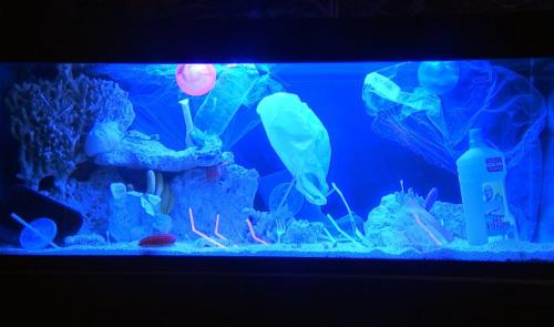 Un océan de plastique, c'est MER'dique !