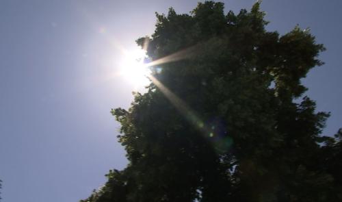 Quand il fait chaud... on s'adapte !