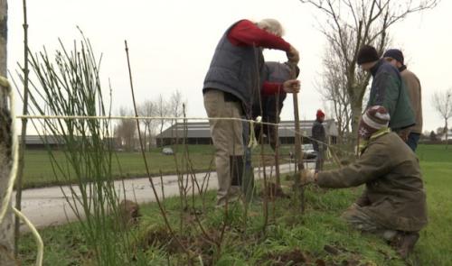 1500 mètres de haies plantés grâce aux citoyens