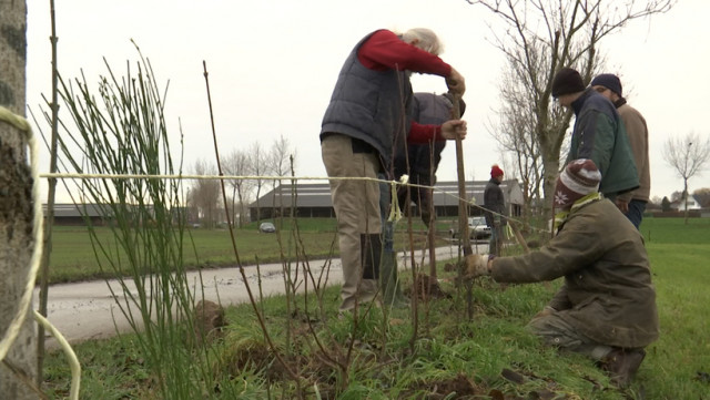 1500 mètres de haies plantés grâce aux citoyens