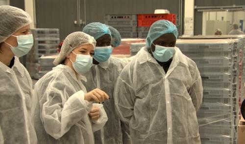 Des producteurs de fèves de cacao en visite chez Galler