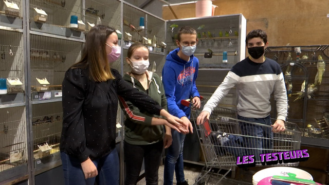 Les testeurs reprennent du poil de la bête (L'intégrale)
