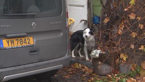 La peur en voiture