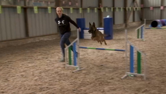 L'agility