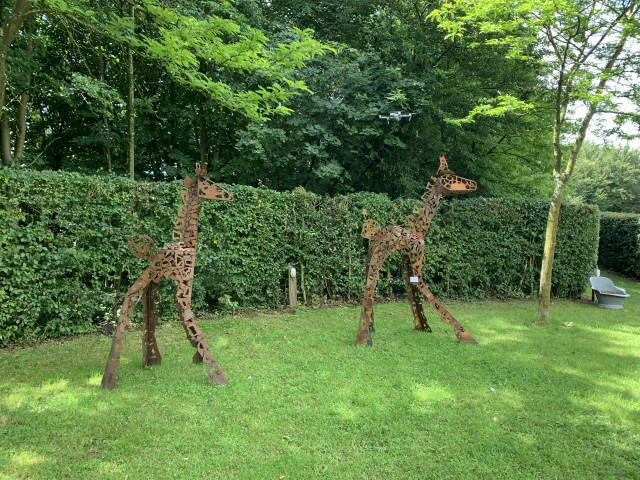 20e expo "Pas à pas"  dans le jardin de Brigitte Danse