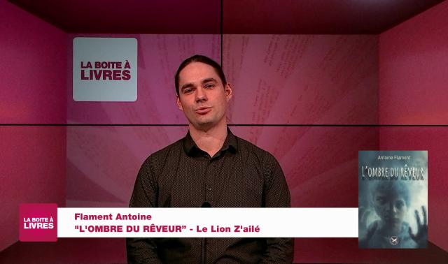Antoine Flament, L'Ombre du rêveur (Le Lion Z'allé)