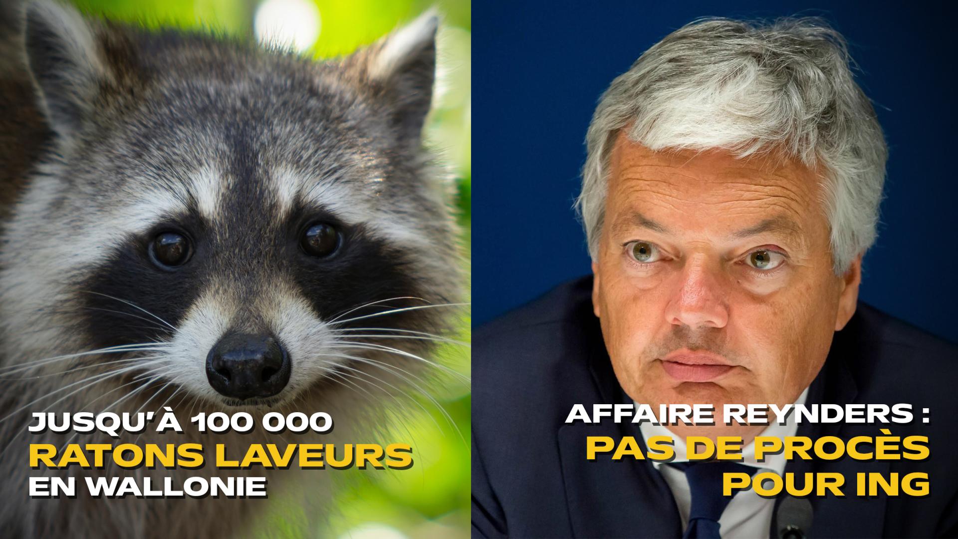 Les actus de la semaine en province de Liège