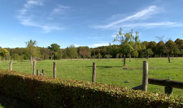 Modave : des terrains publics mis à disposition de jeunes agriculteurs