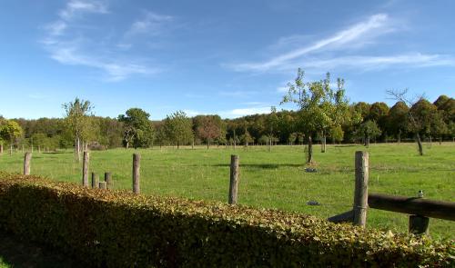 Modave : des terrains publics mis à disposition de jeunes agriculteurs