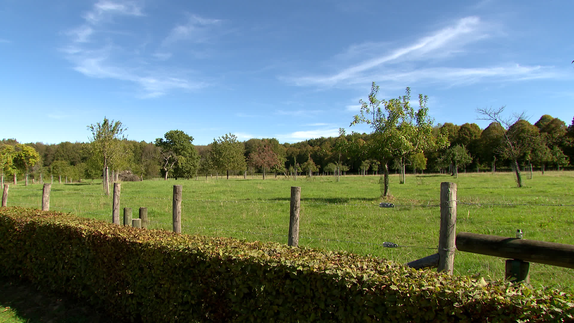 Modave : des terrains publics mis à disposition de jeunes agriculteurs