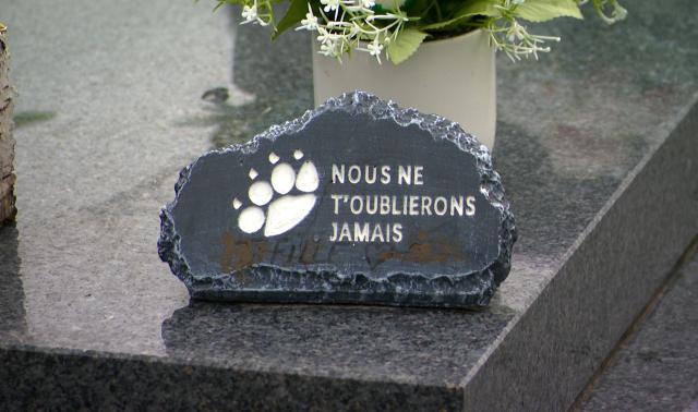 Se faire inhumer avec son animal de compagnie, c'est possible à Hamoir