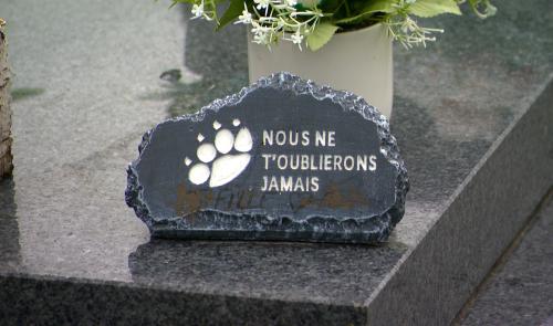 Se faire inhumer avec son animal de compagnie, c'est possible à Hamoir