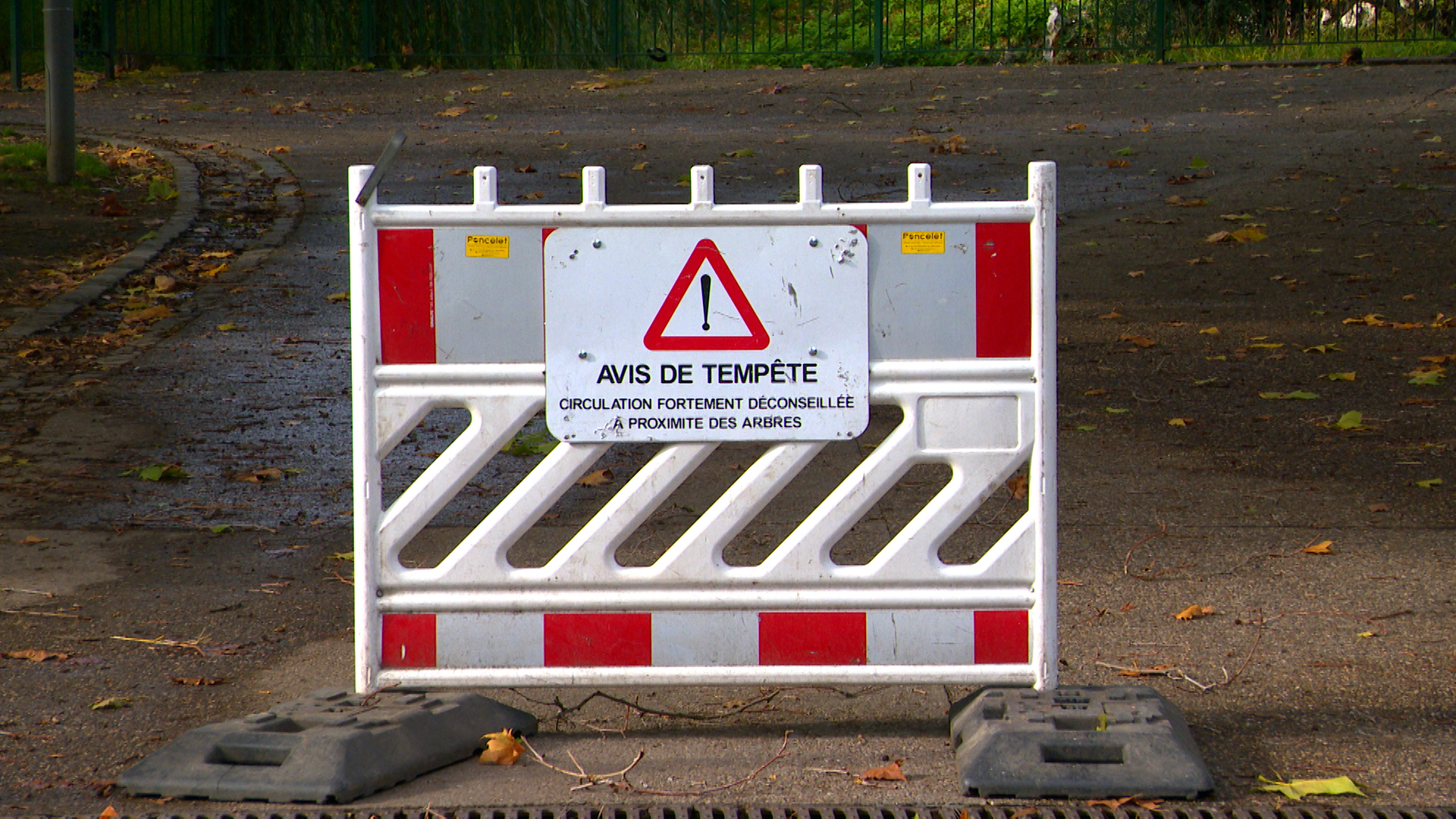 Tempête Austen : parcs, cimetières et foires fermés à Liège, de nouvelles rafales attendues samedi
