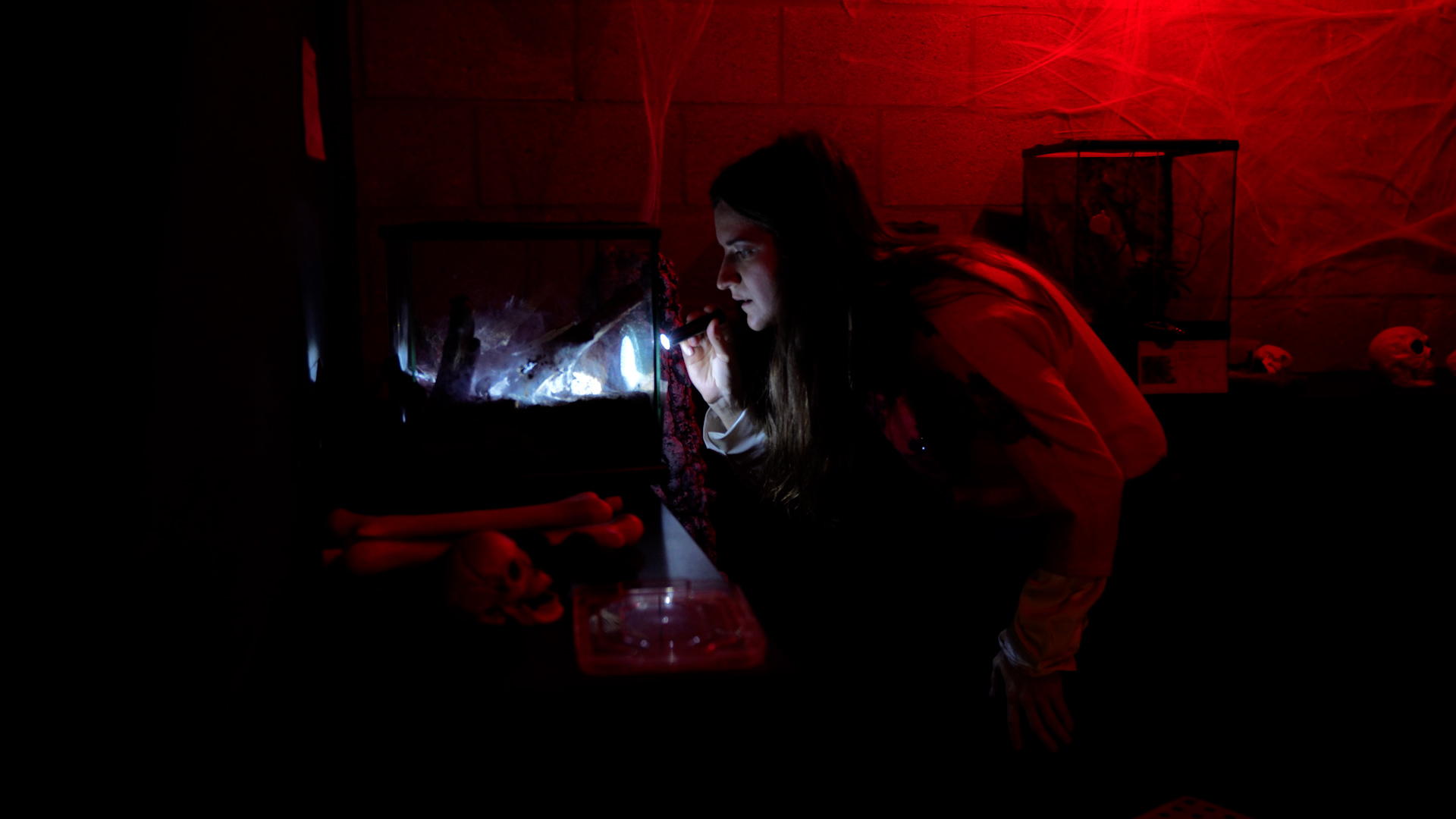 Ambiance Halloween au musée Hexapoda