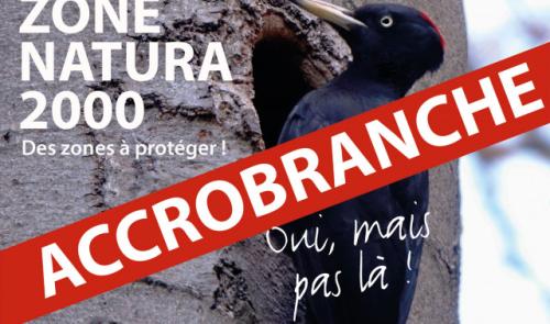 Accrobranche: un collectif prêt à saisir le Conseil d’État