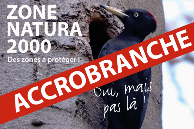 Accrobranche: un collectif prêt à saisir le Conseil d’État