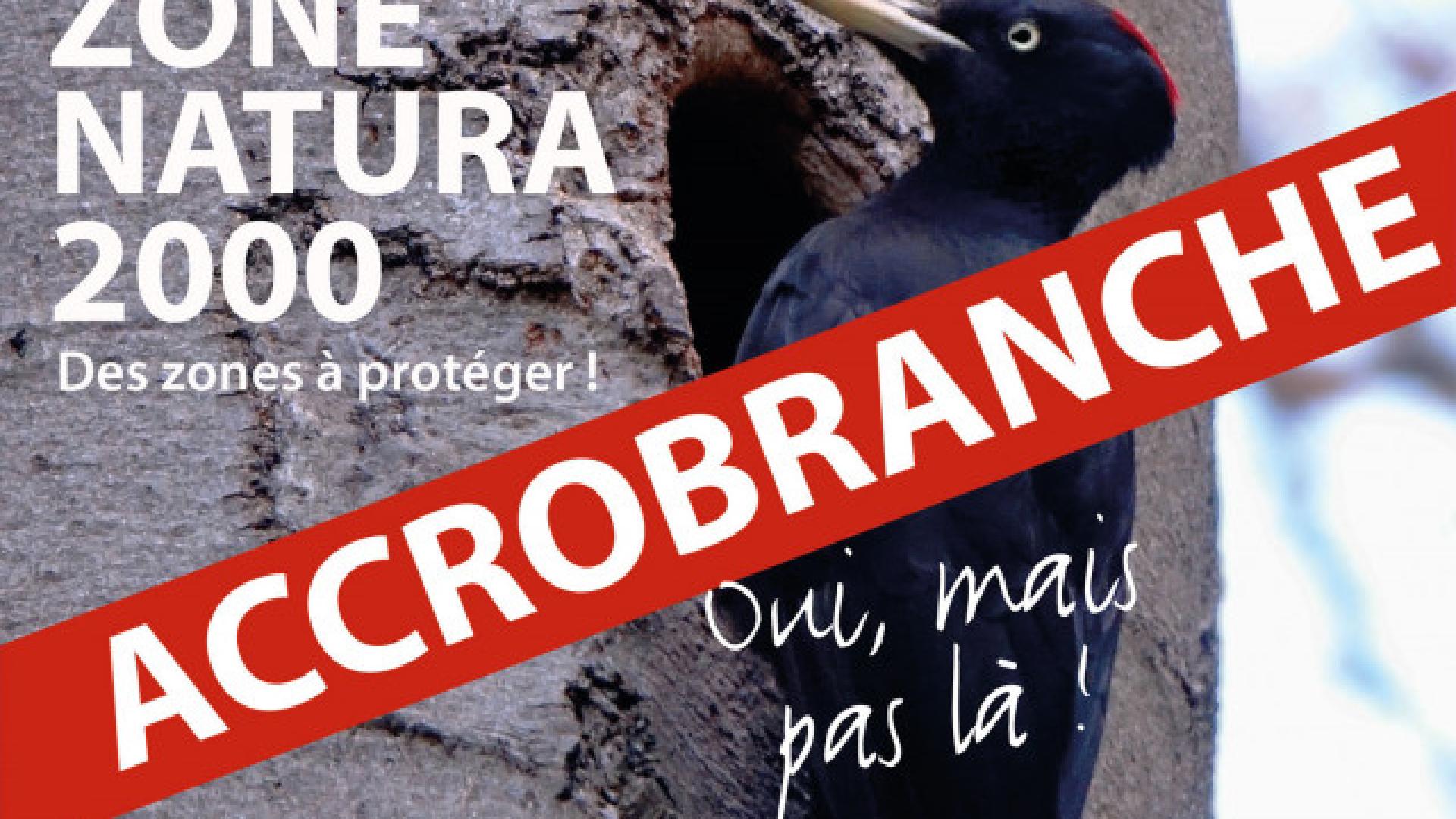 Accrobranche: un collectif prêt à saisir le Conseil d’État