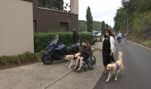 Chiens d'assistance bienvenus en Wallonie.
