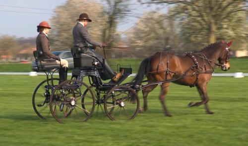 Concours d'attelage à Saive