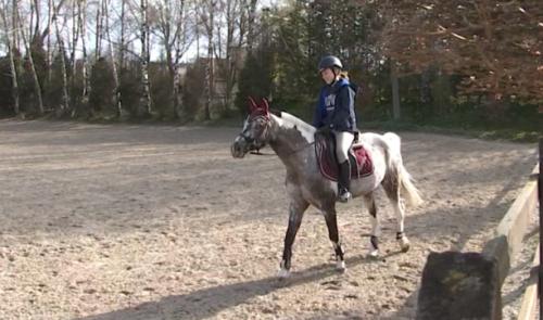 Covid 19: Pas de confinement pour les chevaux