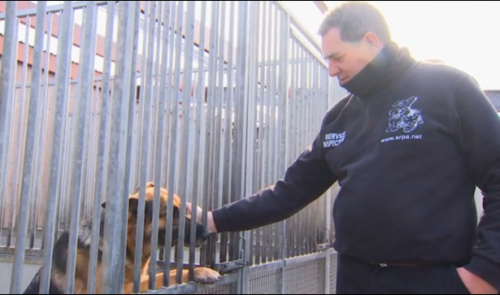 Covid-19 : Pas de transmission entre l'homme et l'animal
