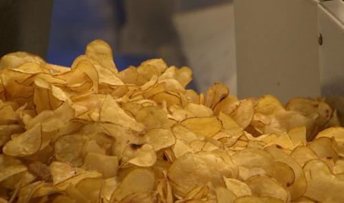Des chips bio made in Hesbaye