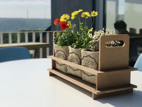 Des plantes pour sauver les abeilles