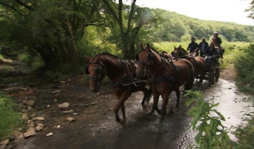 Equi Libre: balade dans le Condroz