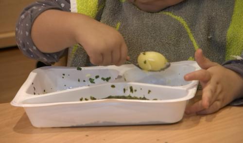 Fin des barquettes en plastique dans les crèches