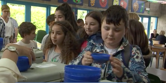 Fléron : du potage à l'école avec l'environnement pour priorité