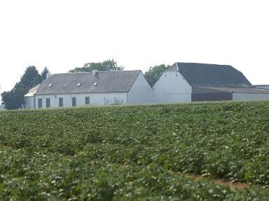 La superficie agricole bio recule légèrement, mais le consommateur wallon reste fidèle