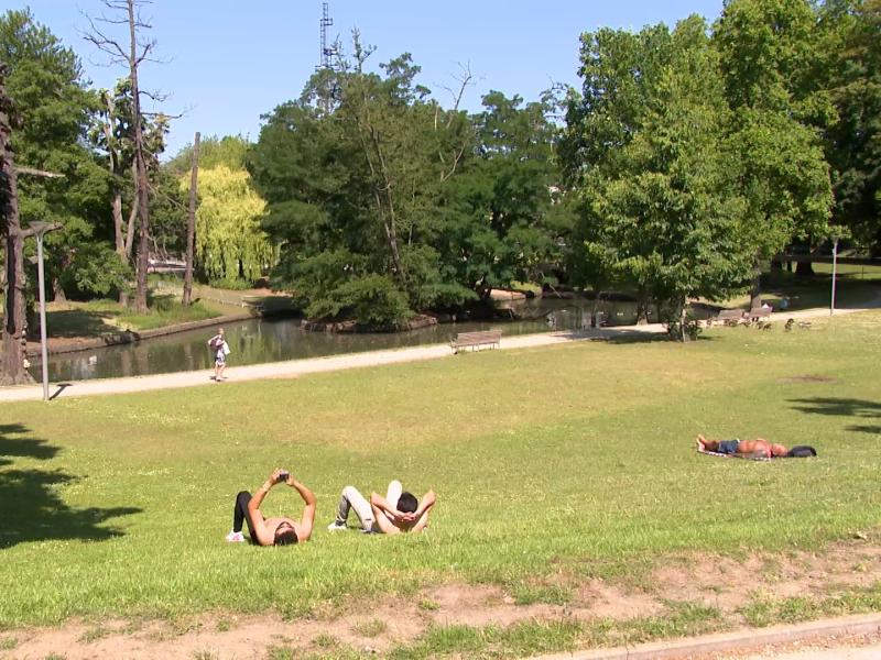 C'est l'été: conseils pour éviter les coups de chaud