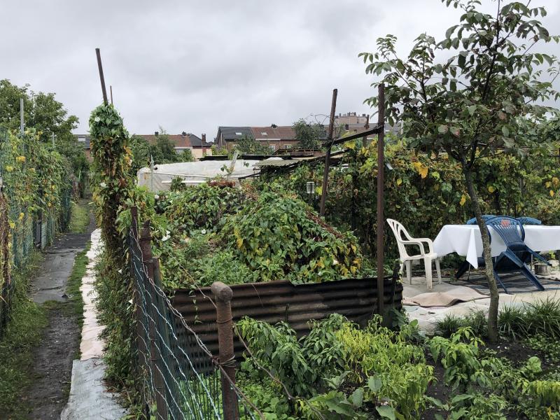 Journée du Patrimoine : le plus grand potager communautaire de Wallonie