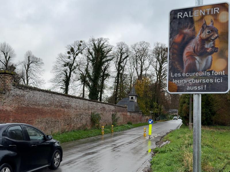 Grâce-Hollogne : des panneaux pour protéger les écureuils