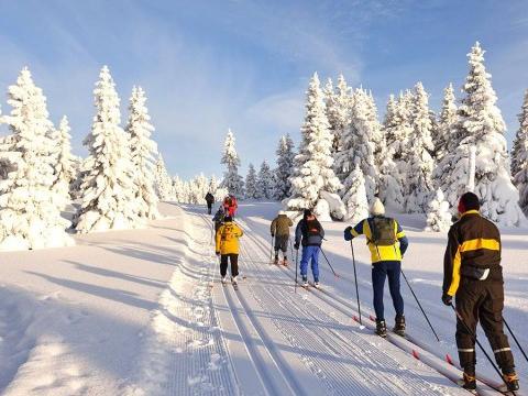 Neige : ski alpin, ski de fond, luge... les pistes sont ouvertes !