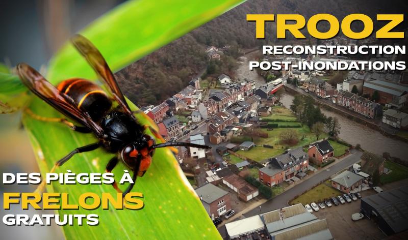 Les actus de la semaine en province de Liège