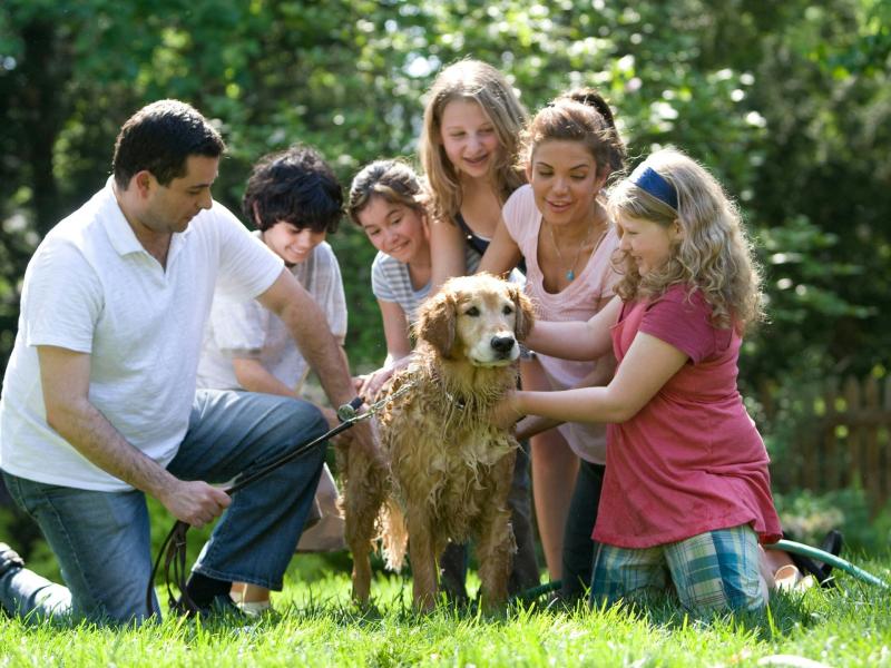 Les noms de familles les plus présents en Belgique et dans notre province