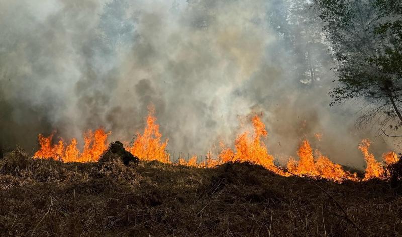 Province : interdiction de feux, barbecues et feux d'artifices