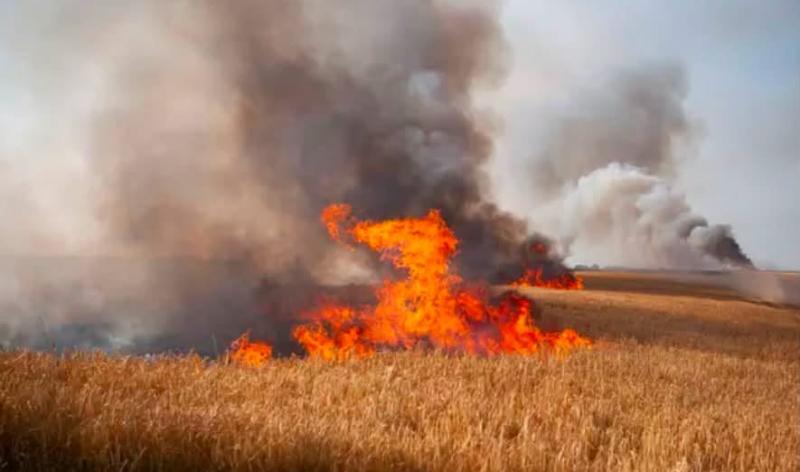 Crisnée : incendie dans les campagnes